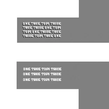 One True Topi Tribe by Various Artists - album cover