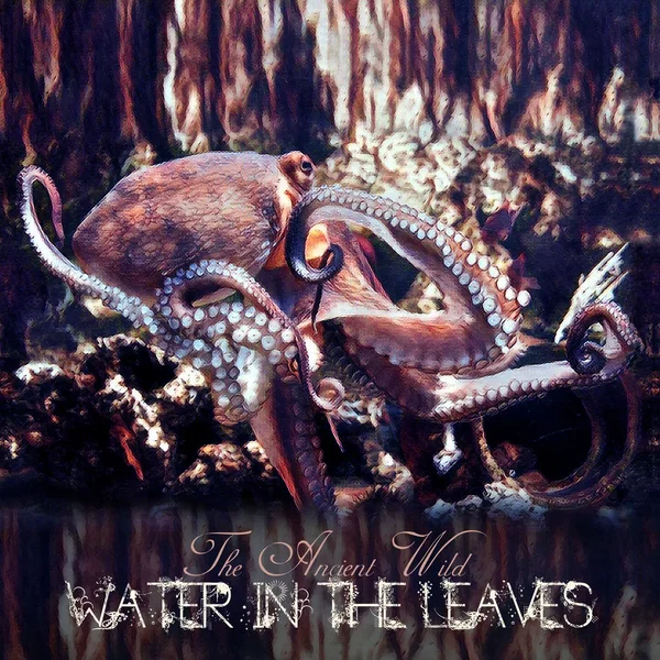 Water in the Leaves
