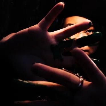 V for Venom
