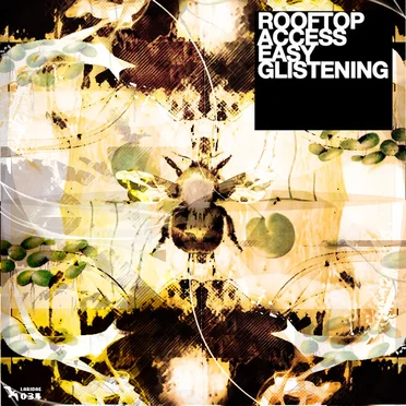 Easy Glistening by Rooftop Access - album cover