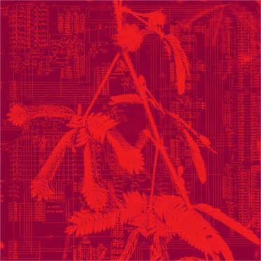 Incorporeal by Hidden Horse - album cover