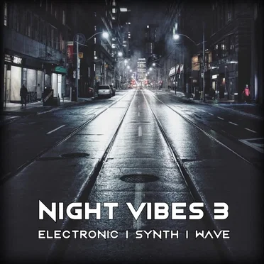 Night Vibes 3 by Various Artists - album cover