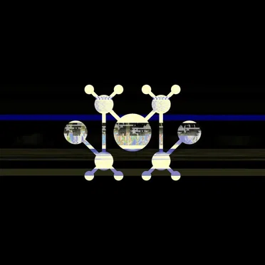 the heterotroph by C4H8Cl2S - album cover