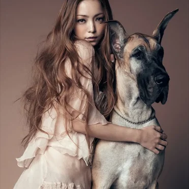 Love Story (Xmas Music Box Ver.)