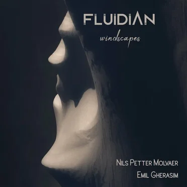 Windscapes by Fluidian - album cover