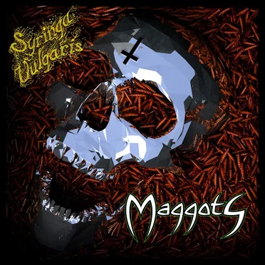 Maggots