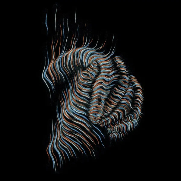 Continuum Sonore Part 7>14