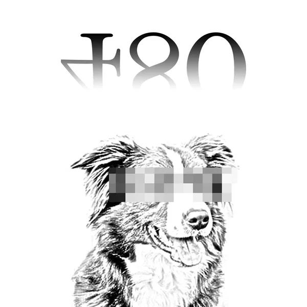 480