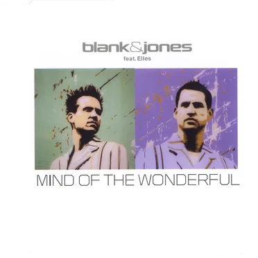 Mind of the Wonderful