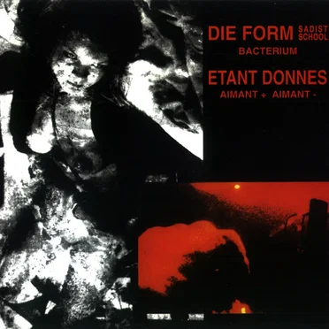 Bacterium / Aimant + Aimant -