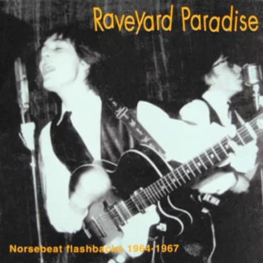 Raveyard Paradise by Various Artists - album cover