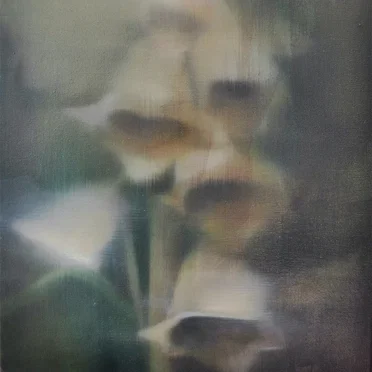 slowfoam