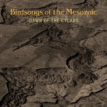 Dawn of the Cycads by Birdsongs of the Mesozoic - album cover