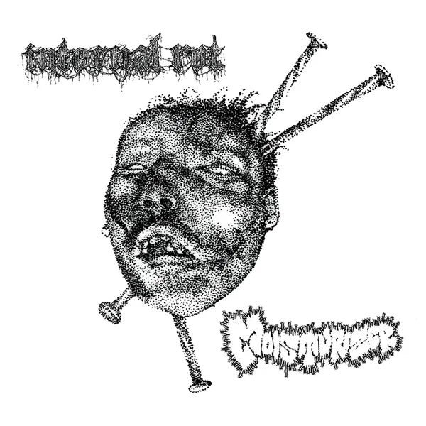 Moisturizer / Internal Rot
