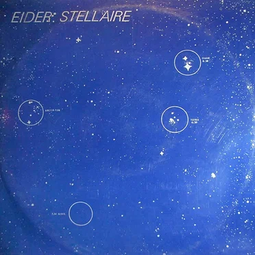 Eider Stellaire