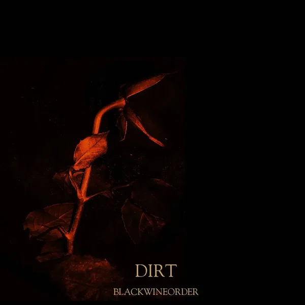 Dirt