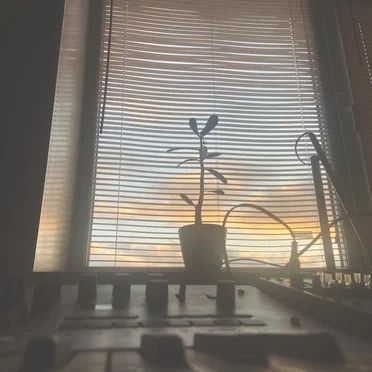 yellow skies, take me there