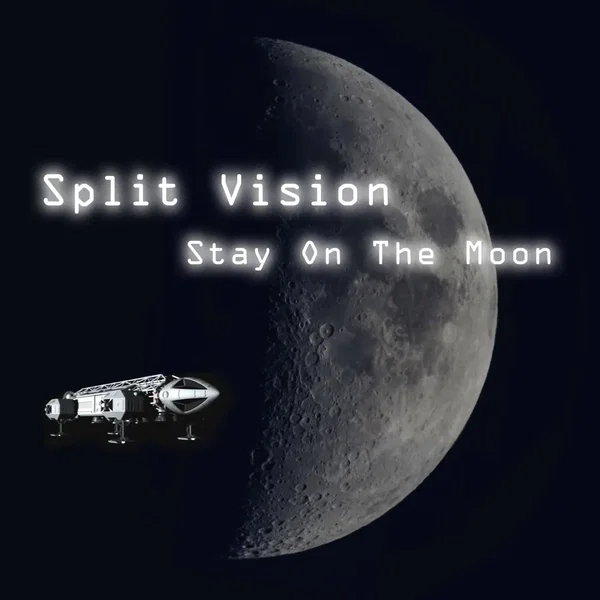 Stay on the Moon