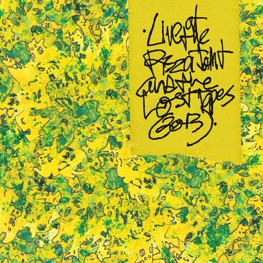 Live at the Pizza Joint & The Lost Tapes (2013)