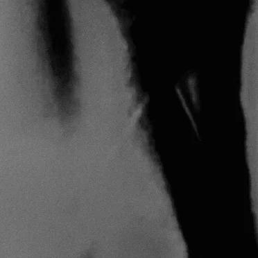 Collected Demos - 2024