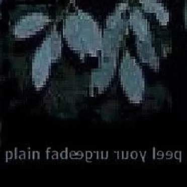 Peel Your Urge by Plain Fade - album cover