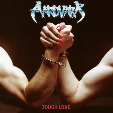Tough Love by Aardvark - album cover