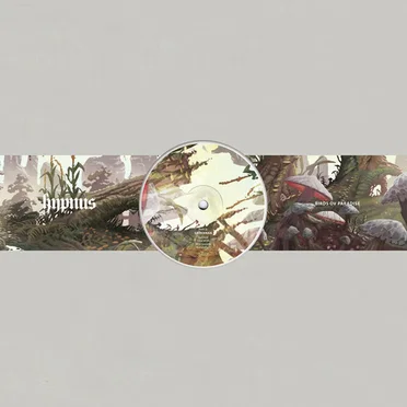 Part 2: Savannah by Birds ov Paradise - album cover