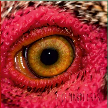 Mardi Gras by Plof - album cover