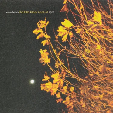 The Little Black Book of Light by Cam Tapp - album cover
