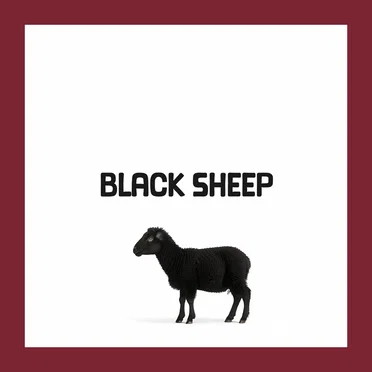 Black Sheep