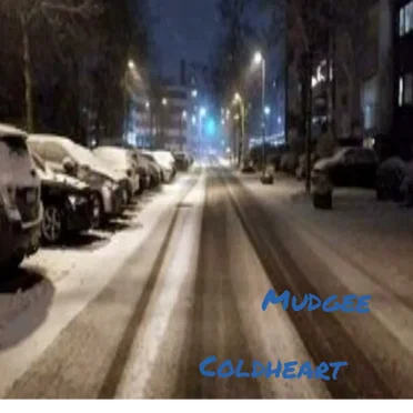 cold heart by mudgee - album cover