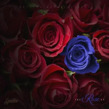 The R.O.S.E. EP by Spodee - album cover