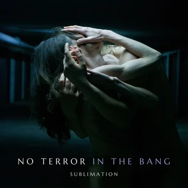 Sublimation by No Terror in the Bang - album cover