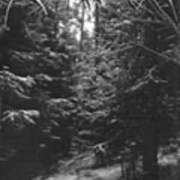 Into Blackening Chaos by Empaligon - album cover