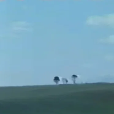 自然