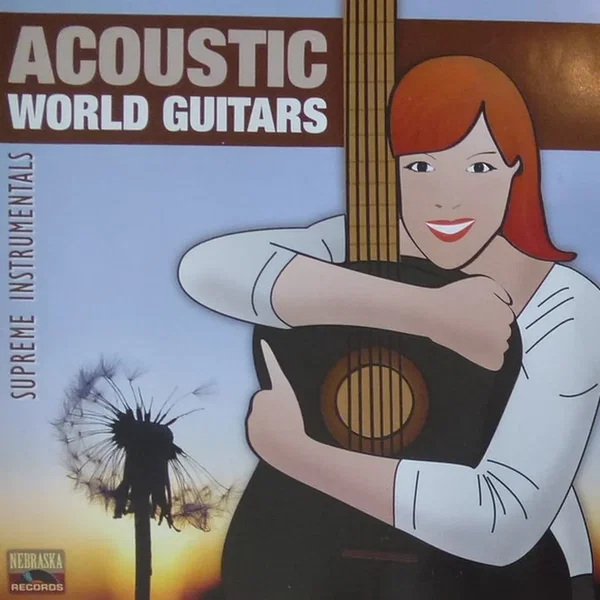 Acoustic World Guitars