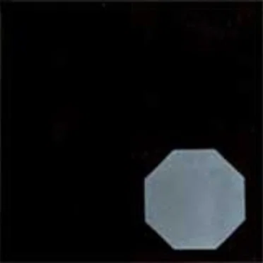 The Octagon by The Octagon - album cover