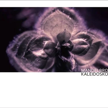 Kaleidoskop by Mandelbrot - album cover