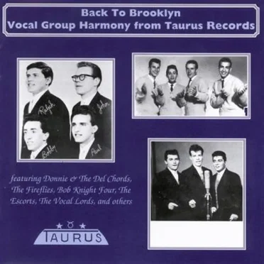 Back to Brooklyn – Vocal Group Harmony From Taurus Records by Various Artists - album cover