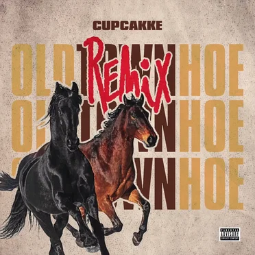 Old Town Hoe (Old Town Road remix)