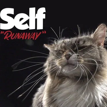Runaway