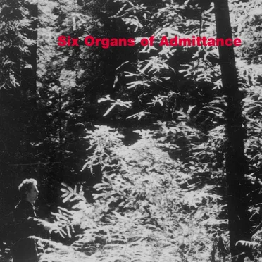 Six Organs of Admittance