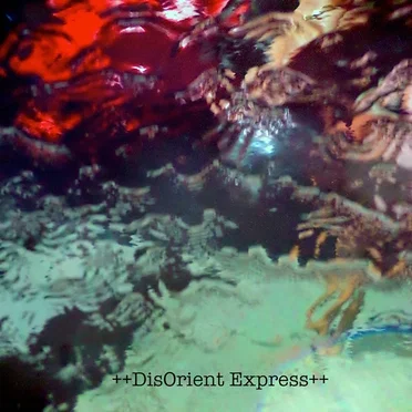 DisOrient Express by The Silverman - album cover