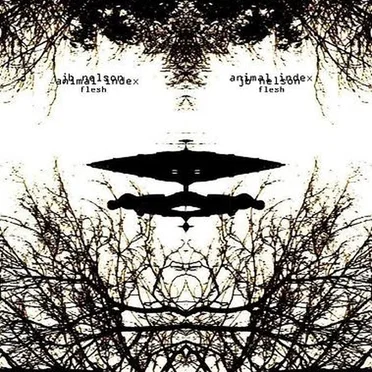 Animal Index - Flesh