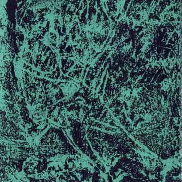 L'éveil de l'ombre