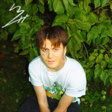 Evig Energi by .Blomster - album cover