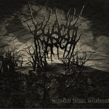 Oderint Dum Metuant by Black March - album cover