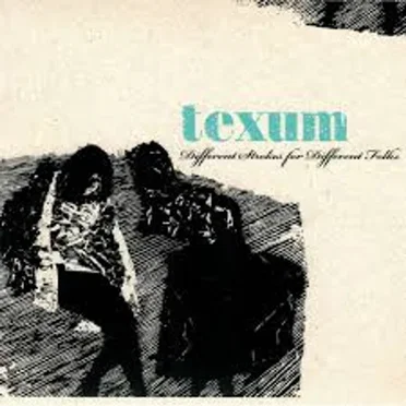 Different Strokes for Different Folks by Texum - album cover