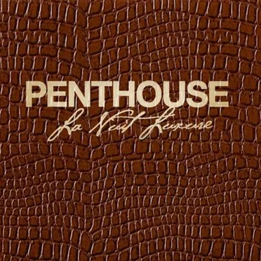 Penthouse : La nuit luxure by Various Artists - album cover
