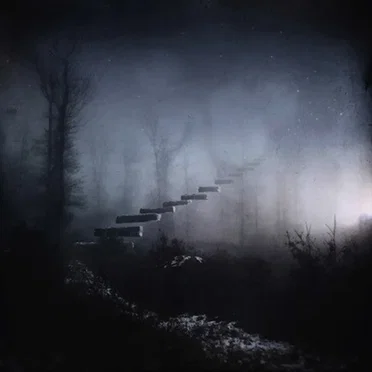 Fading Motionless Nights